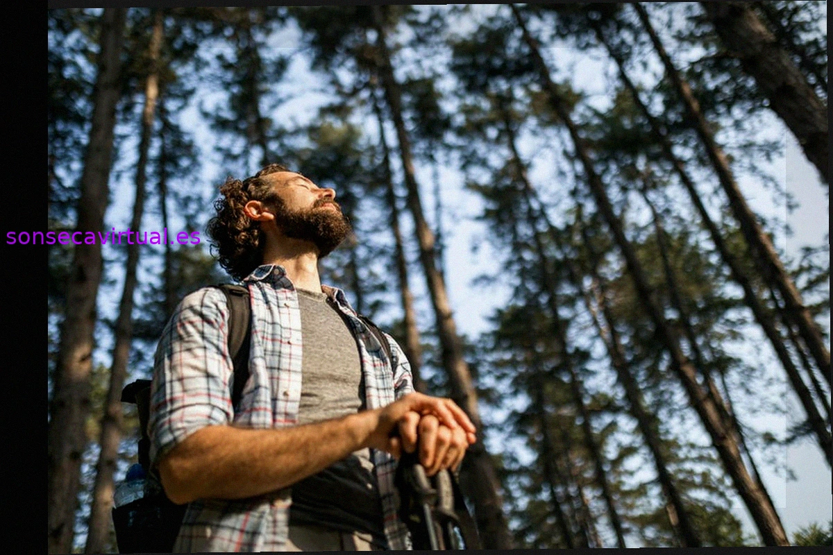 La Inspiradora 'Into The Woods' Redescubre los Bosques y Sugiere Nuevas Formas de Explorar la Naturaleza con IA